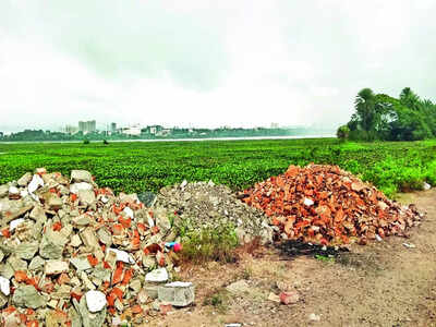 Preserve this lake before it disappears