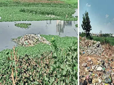 NGT makes a case over sad state of lake
