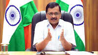 Delhi Cabinet approves tree transplantation policy 