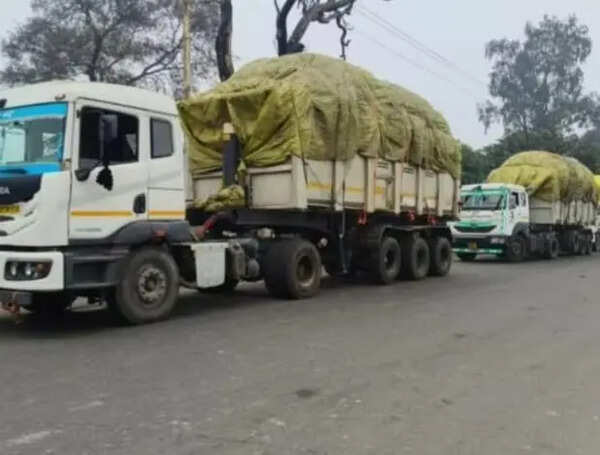 Ghazipur’s waste diverted to fuel M’nagar paper mills? Locals say villages stink, fear health risks
