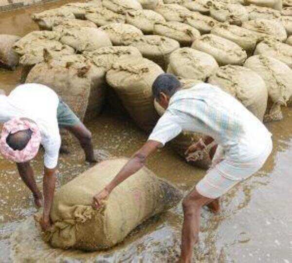 Flood leaves behind damaged paddy fields
