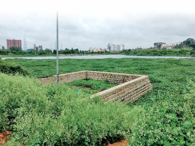 Bengaluru lakes are a cesspool of lies