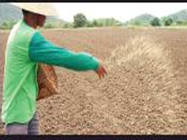 ‘Go for direct seeded rice, save water’