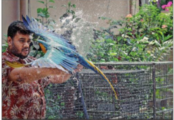 Kolkata weather: 92% humidity + 39.7°C temp pack killer punch