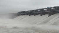 Watch: Gates of Tawa Dam open following heavy rainfall in MP 