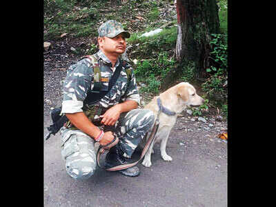 Alert CRPF canine saves man trapped under debris in JK