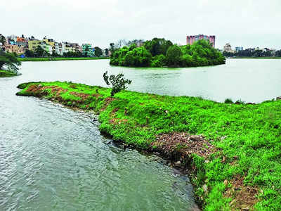 Bengaluru’s lake areas covered by trees, but all is not hunky-dory
