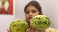 Mangoes galore: Head to Janpath for a slice of Bengal 