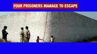 Madhya Pradesh: 4 prisoners escape from Neemuch jail; probe ordered 