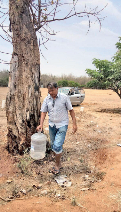 Bengaluru's Sarjapura residents go all out to make a transplanted tree live