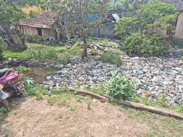 How a Chennai Lake Shrinks Amidst Sewage, Waste; Rejuvenation Efforts Questioned