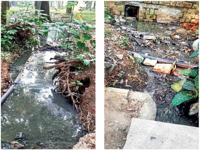 Blame game over sewage at Cubbon Park