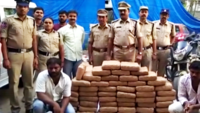 120kg Marijuana worth Rs 14 lakh seized in Telangana, two arrested 