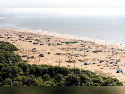 Illegal methi farms flourish as beach turns over new leaf