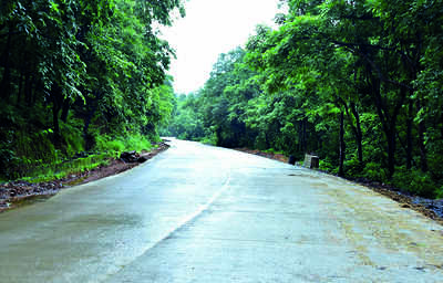 ‘Make Bengaluru-Mangaluru highway an express corridor’