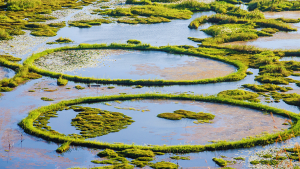 Guess the place: It’s home to the world’s only floating national park
