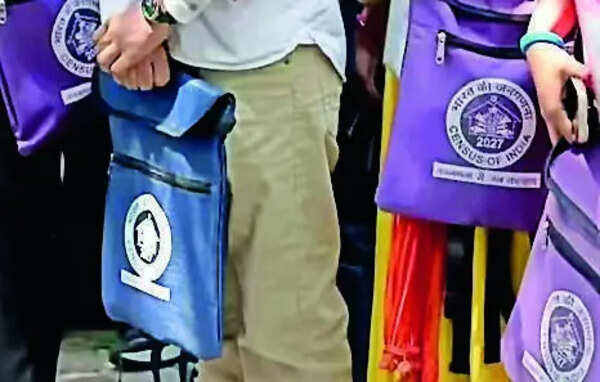 Krishna collector cracks the whip on census negligence, suspends 10 resource persons