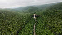Udanti Sitanadi encroachers take U-turn, claim land outside tiger reserve; forest dept cites satellite proof