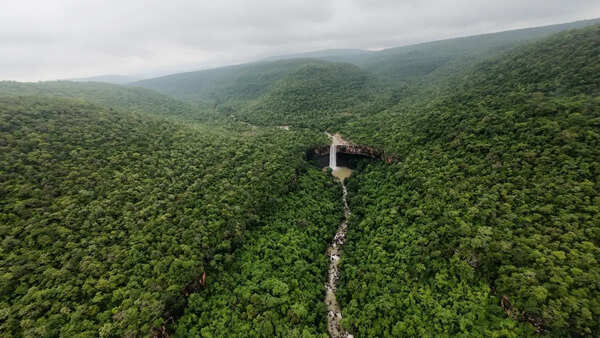 Udanti Sitanadi encroachers take U-turn, claim land outside tiger reserve; forest dept cites satellite proof