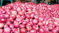 Centre bans export of onions with immediate effect 