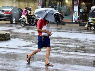 Karnataka to see more rains as monsoon extends: Official