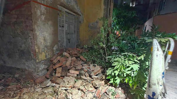 2 die, 65 trees topple as gusty winds leave trail of destruction in its tail across city