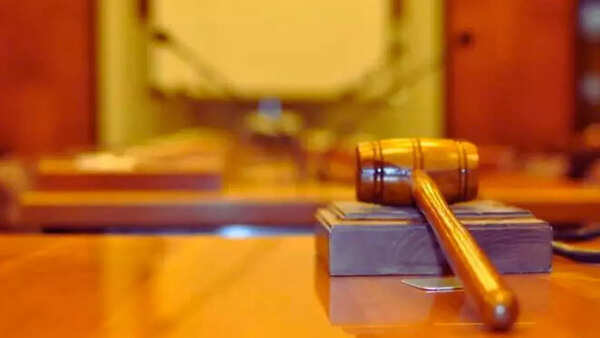 'Chilling effect on me': Upset at Supreme Court remarks, Allahabad HC judge says won’t hear bail petitions