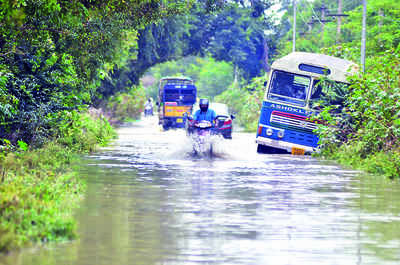 Why was Bengaluru ravaged by floods?