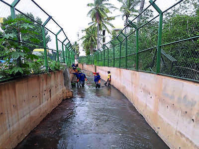 BBMP plans annual maintenance for SWDs