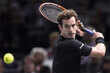 Murray came close to 'poking out' princess's eye