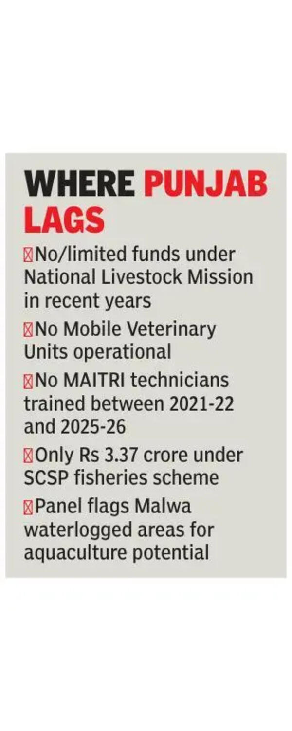 Punjab misses out on key livestock, fisheries schemes: Panel
