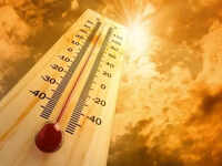 Heatwave in isolated parts like today: Met