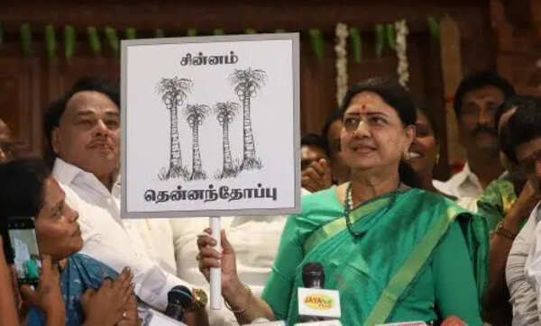 DMK govt has pushed Tamil Nadu into severe debt crisis: Sasikala
