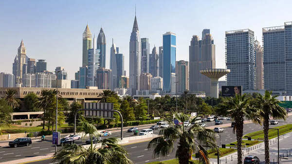 Germany shares data on over 1,000 Indians owning 'undisclosed' Gulf homes with India