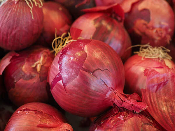 Onion prices hit century again in Chandigarh