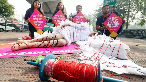 How humans and birds are falling prey to the manja mayhem