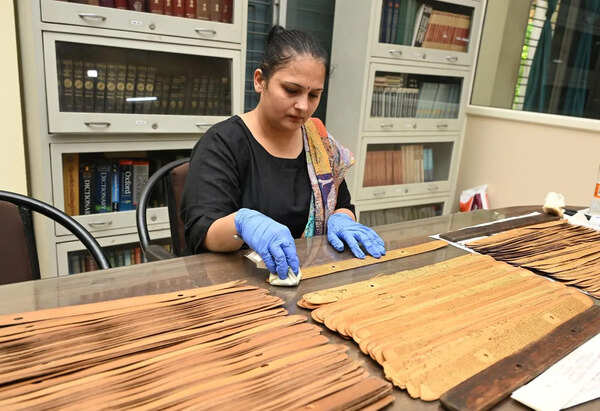 Rescuing timeless wisdom through manuscript preservation in AP