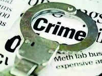Elderly woman assaulted by neighbours in Pune after argument about pet cats
