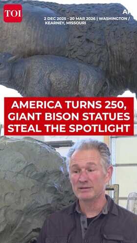 Giant Bison Statues Unveiled As America Marks Historic 250th Milestone