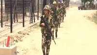 Watch: Jawans brave scorching heat to guard international border near Amritsar 
