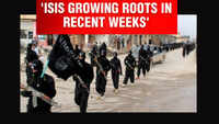 Kashmir, Kerala hotspots of ISIS activities: Intel report 