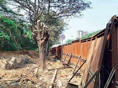 Metro booked for cutting off tree branches in Thane, TMC lodges police complaint, cites HC order