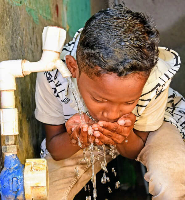 Odisha's Watco claims 100% household water supply in 29 ULBs