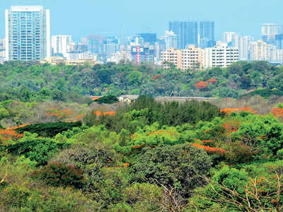 This time state plans to pawn Aarey for SRA