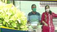 Elderly couple creates unique Bonsai garden in Vadodara home 
