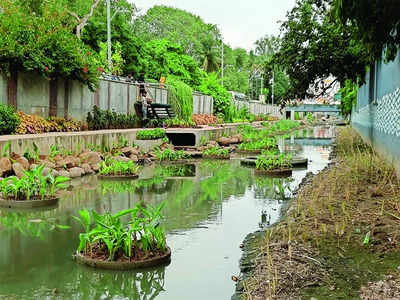 K-100 project to stop receiving sewage water flow, STP set up