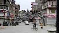 Revived grass root democracy in J&K despite attempts to derail the process: India 