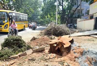 Bengaluru: BBMP fells trees without permission, and Jayanagar residents are angry