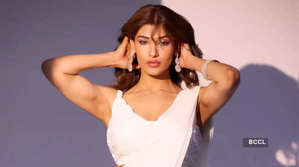 Journey to Bigg Boss 19