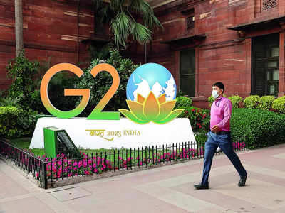 Extradition of economic offenders: India urges G-20 nations to act